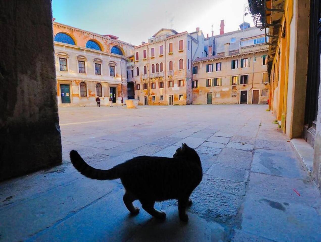 Ca Rialto Apartment Venice Luaran gambar
